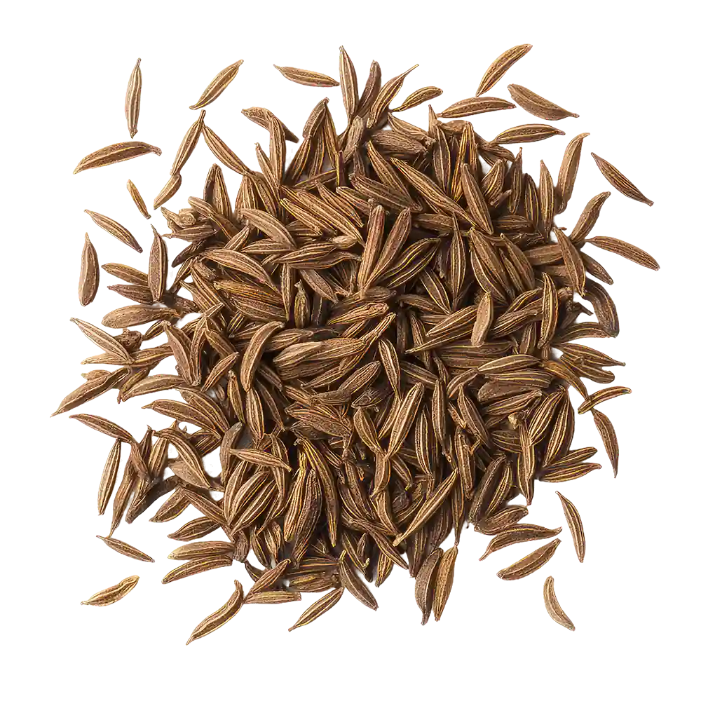 Semillas de alcaravea