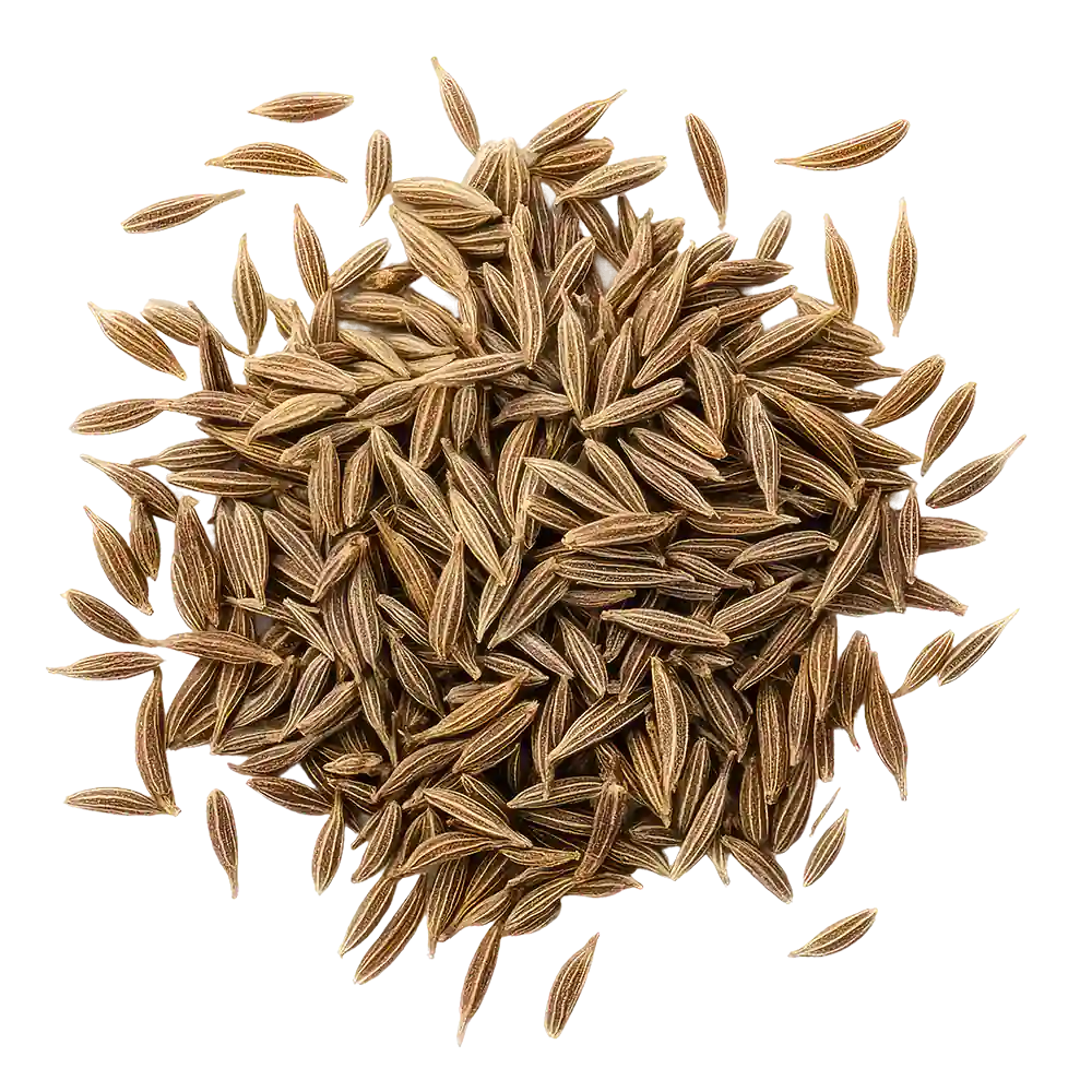 Semillas de comino seco